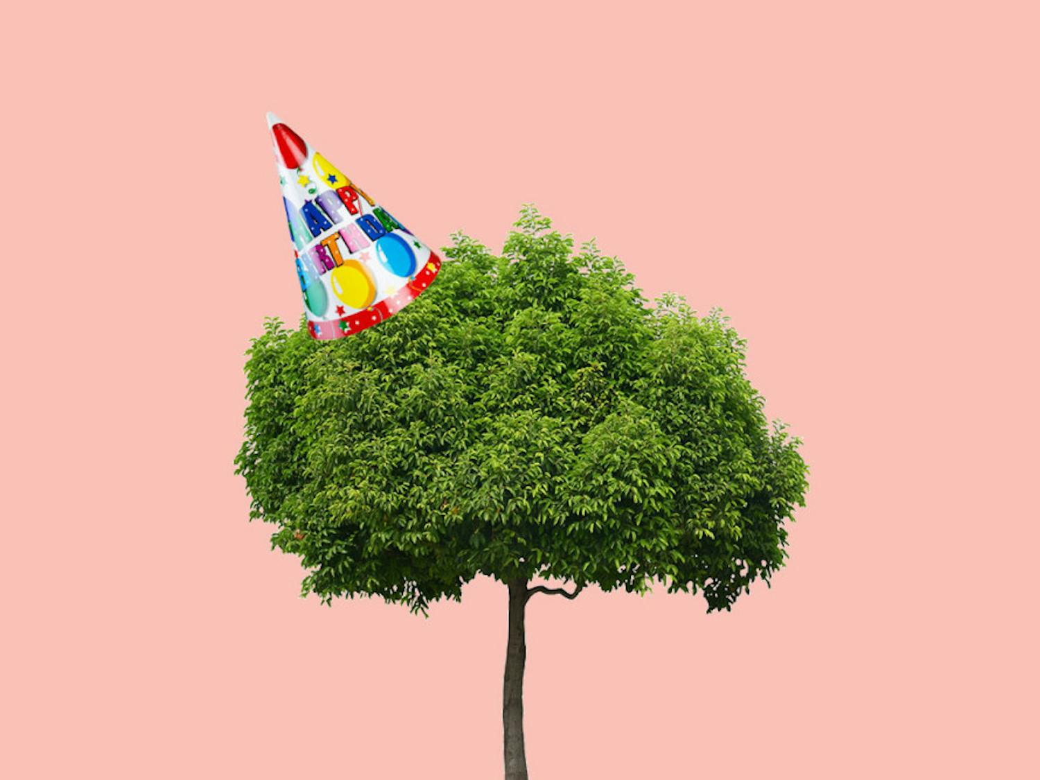 6d3d60ff45b0c0127ed02105c32a3901