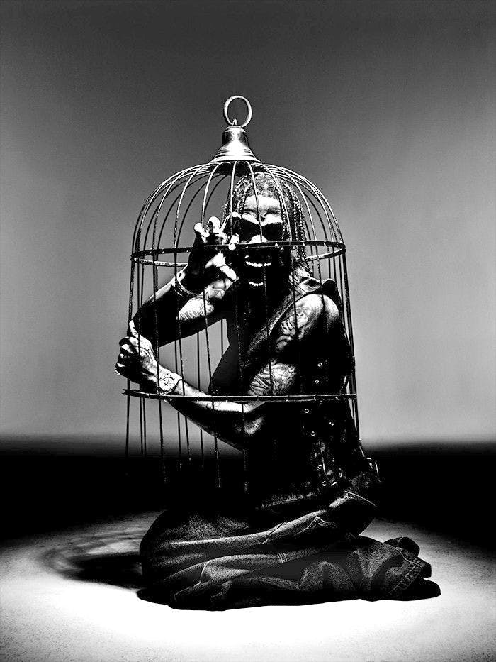 "Bird in the Trap Sing Mcknight"