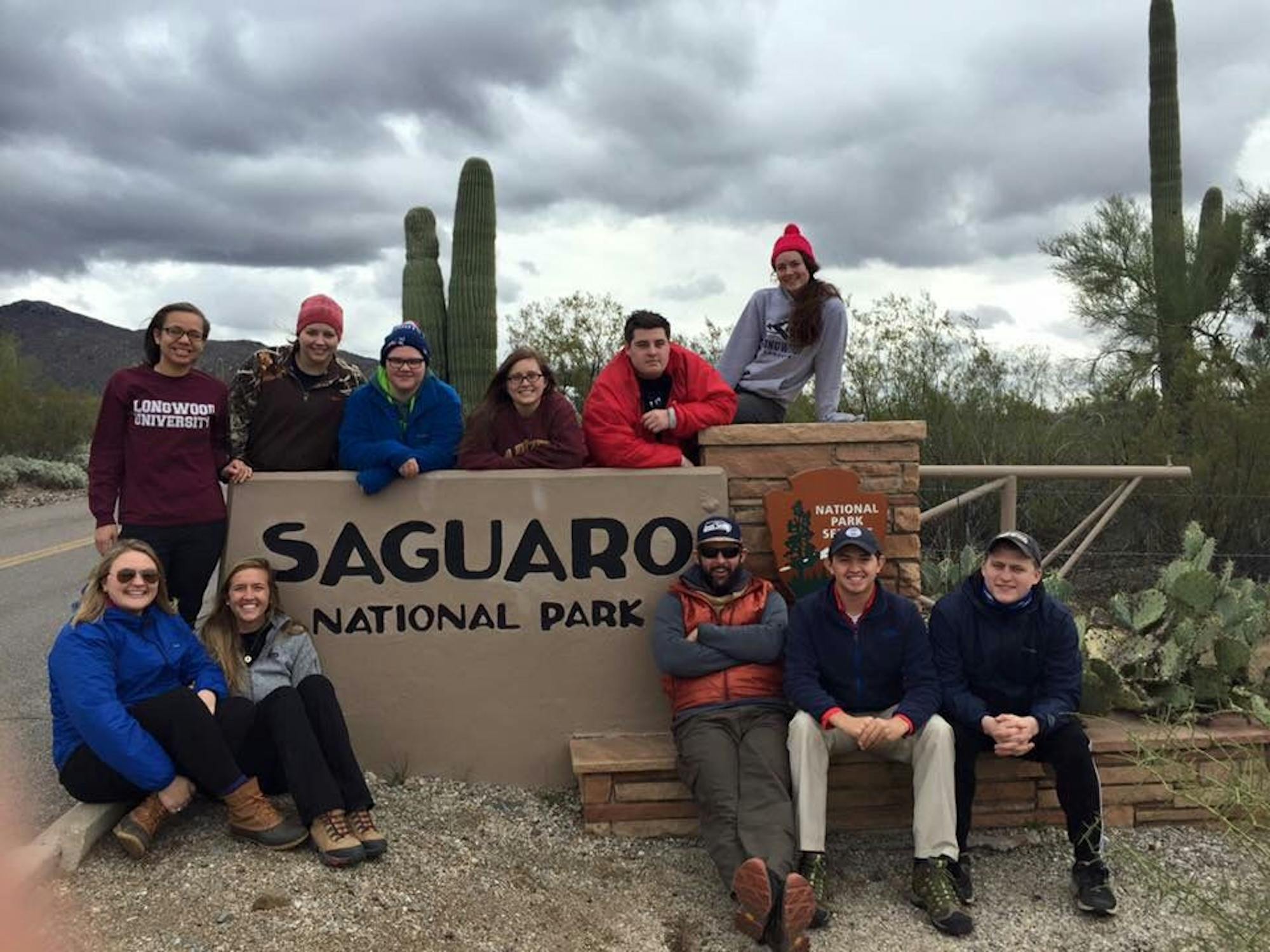 Saguaro Trip from Josh Darst