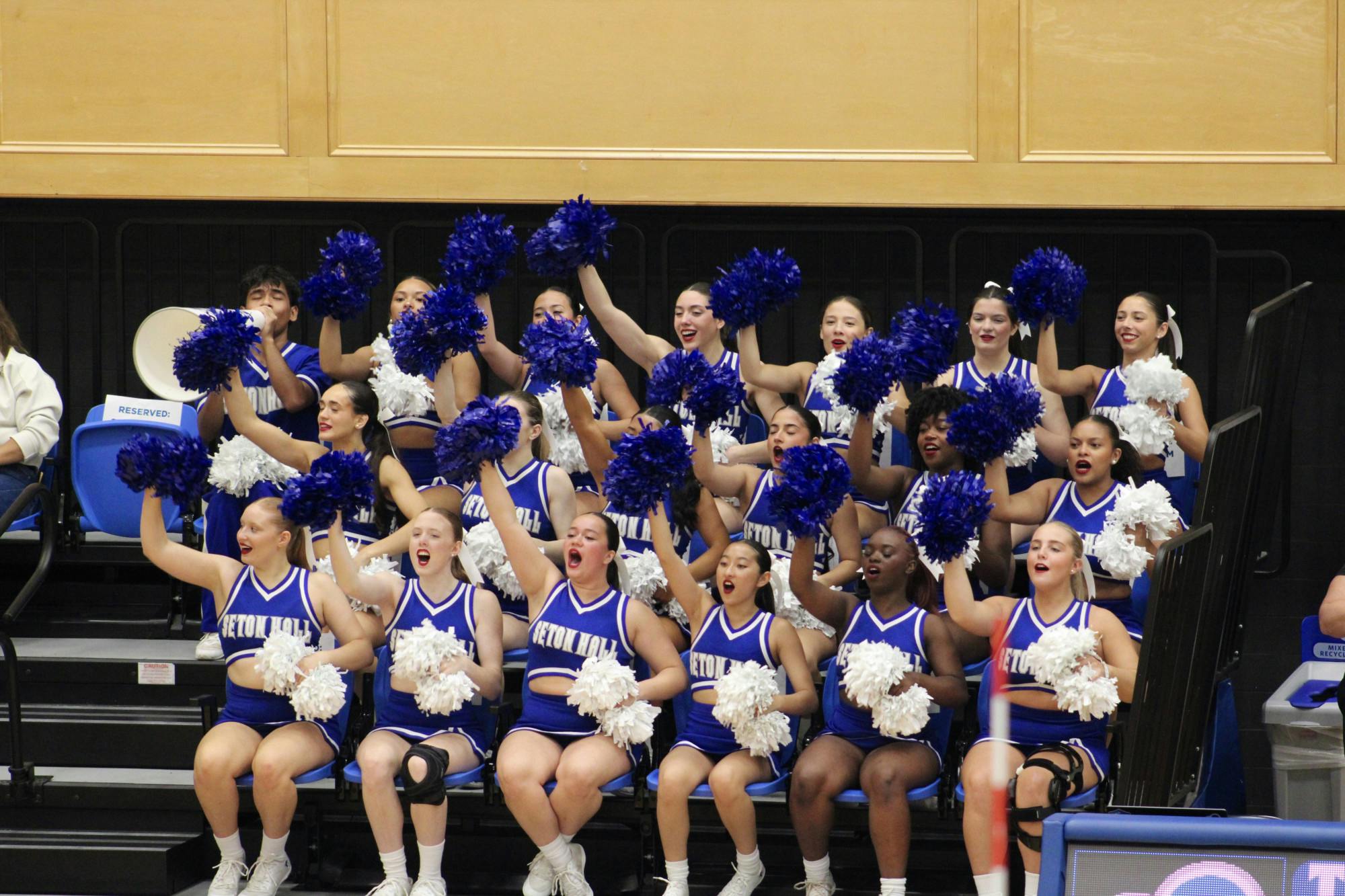 WVB v DePaul cheer.jpeg