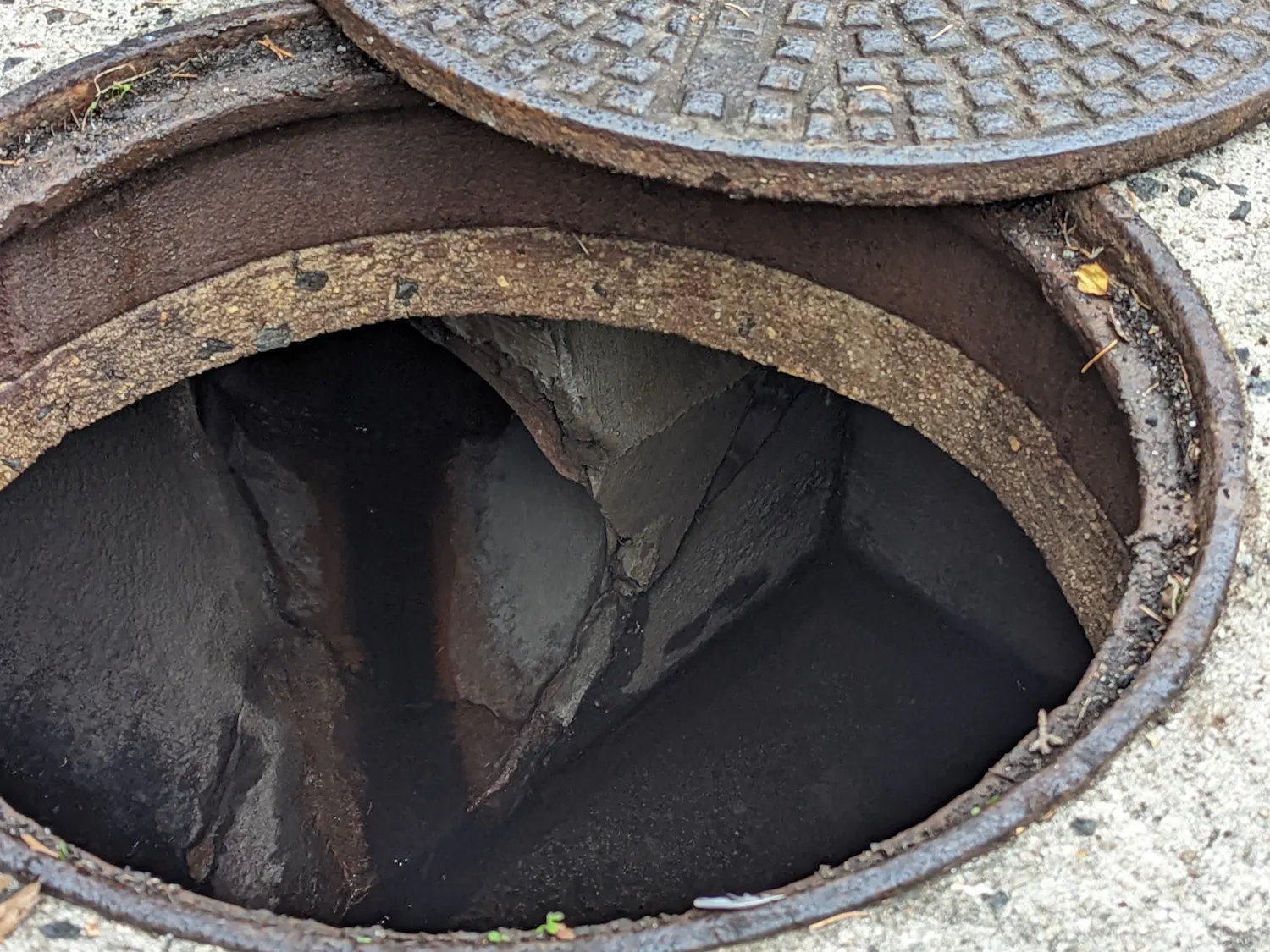 PXL_20221111_152205778 (1).jpg