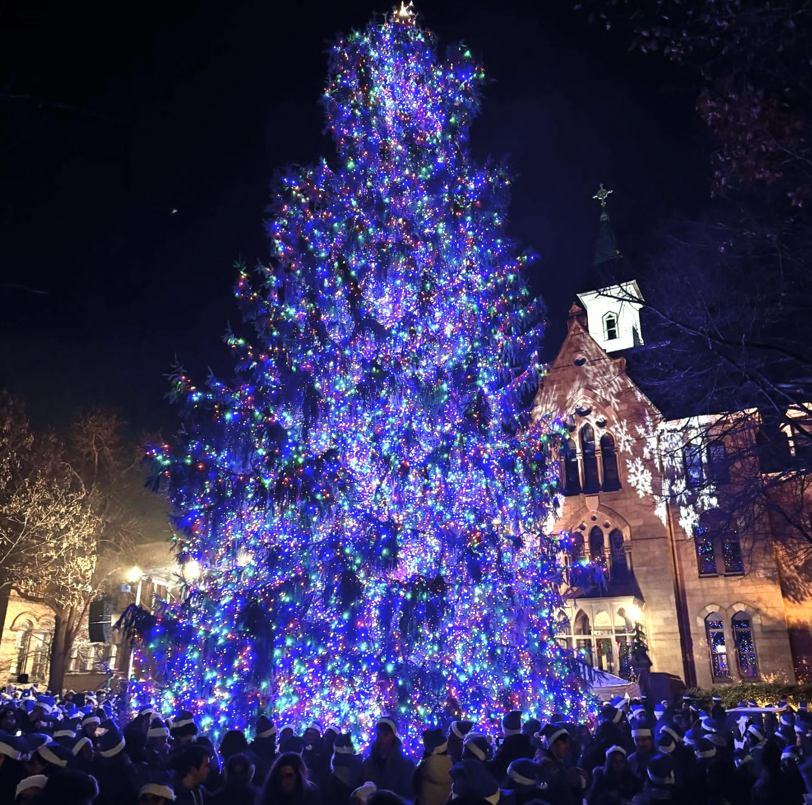 Screenshot 2024-12-05 at 9.31.35 PM.png