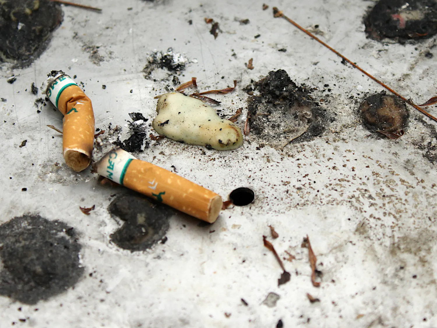Cigarette-Kiera-Alexander