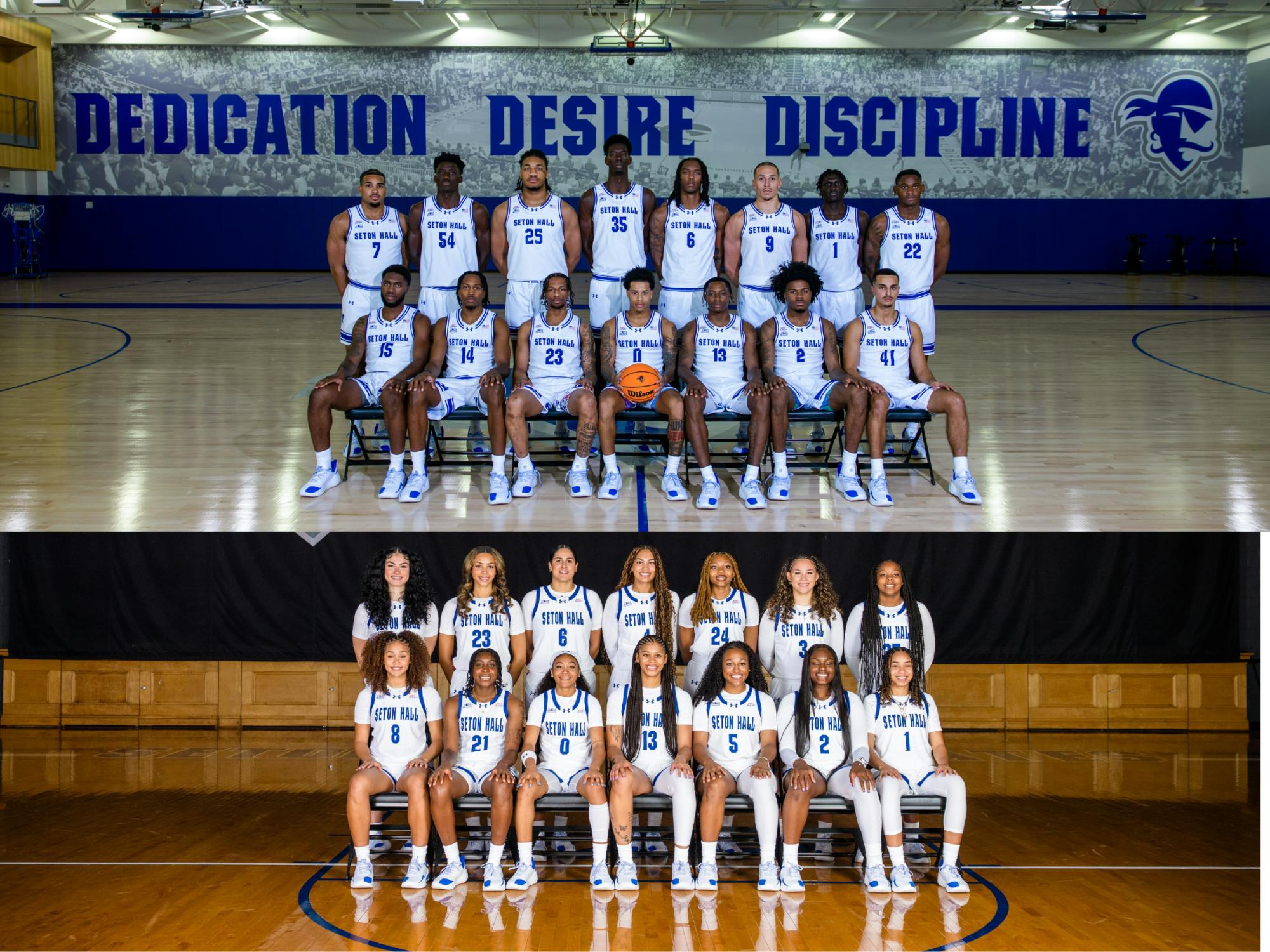 Website Article Graphics.png