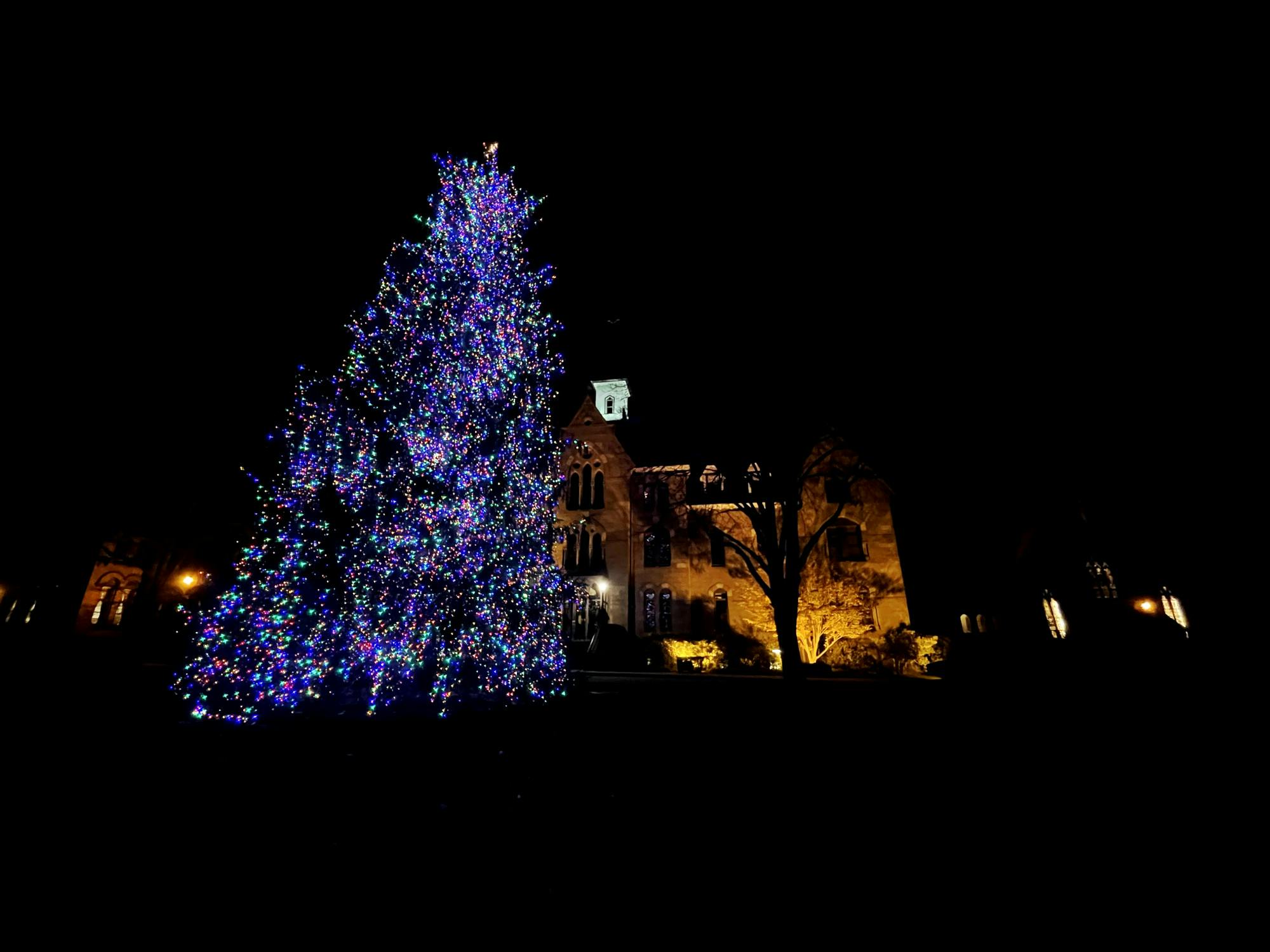 Tree pt.2 (Jillian Cancela) .HEIC