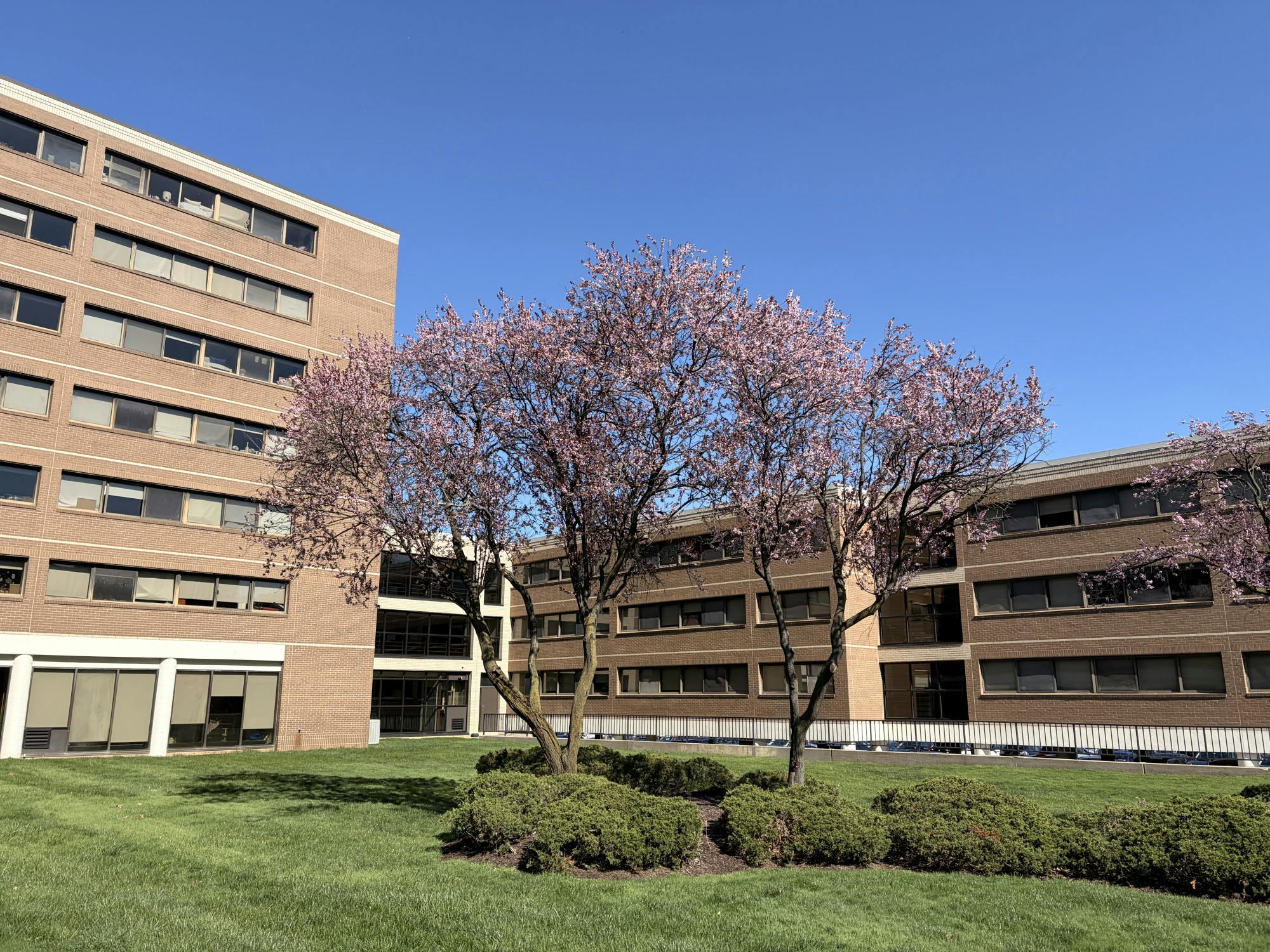 Xavier Hall | Photo by Abiha Rupani