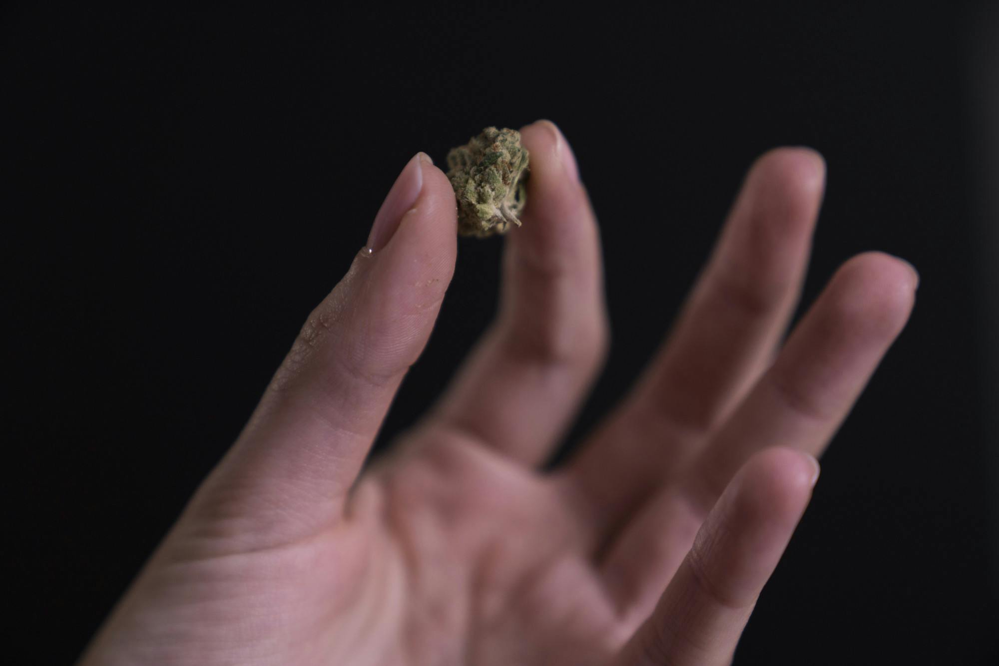 Weed (Photo via Flickr_Stock Catalog) .jpg