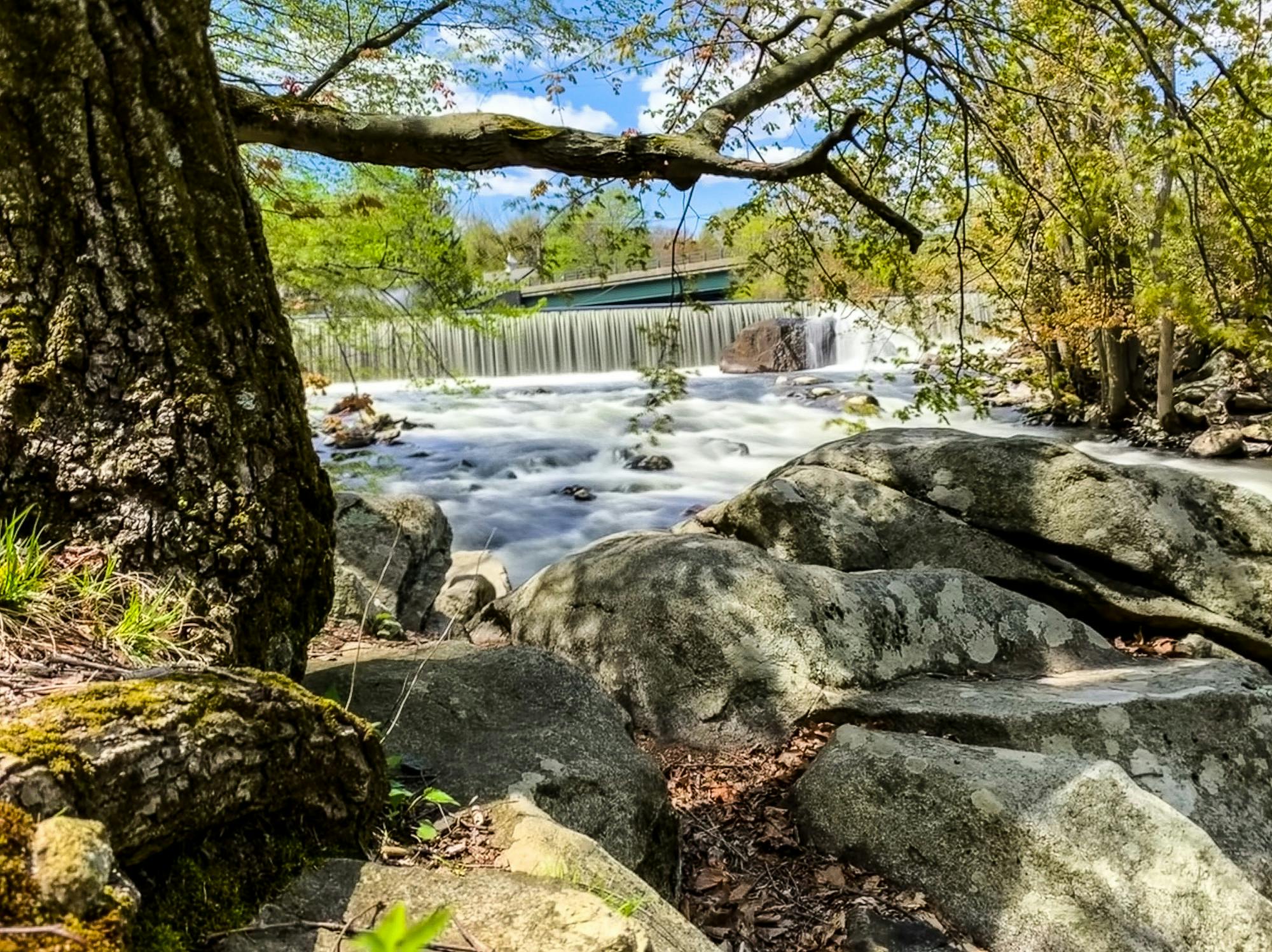 Spring Scenery 2.JPG