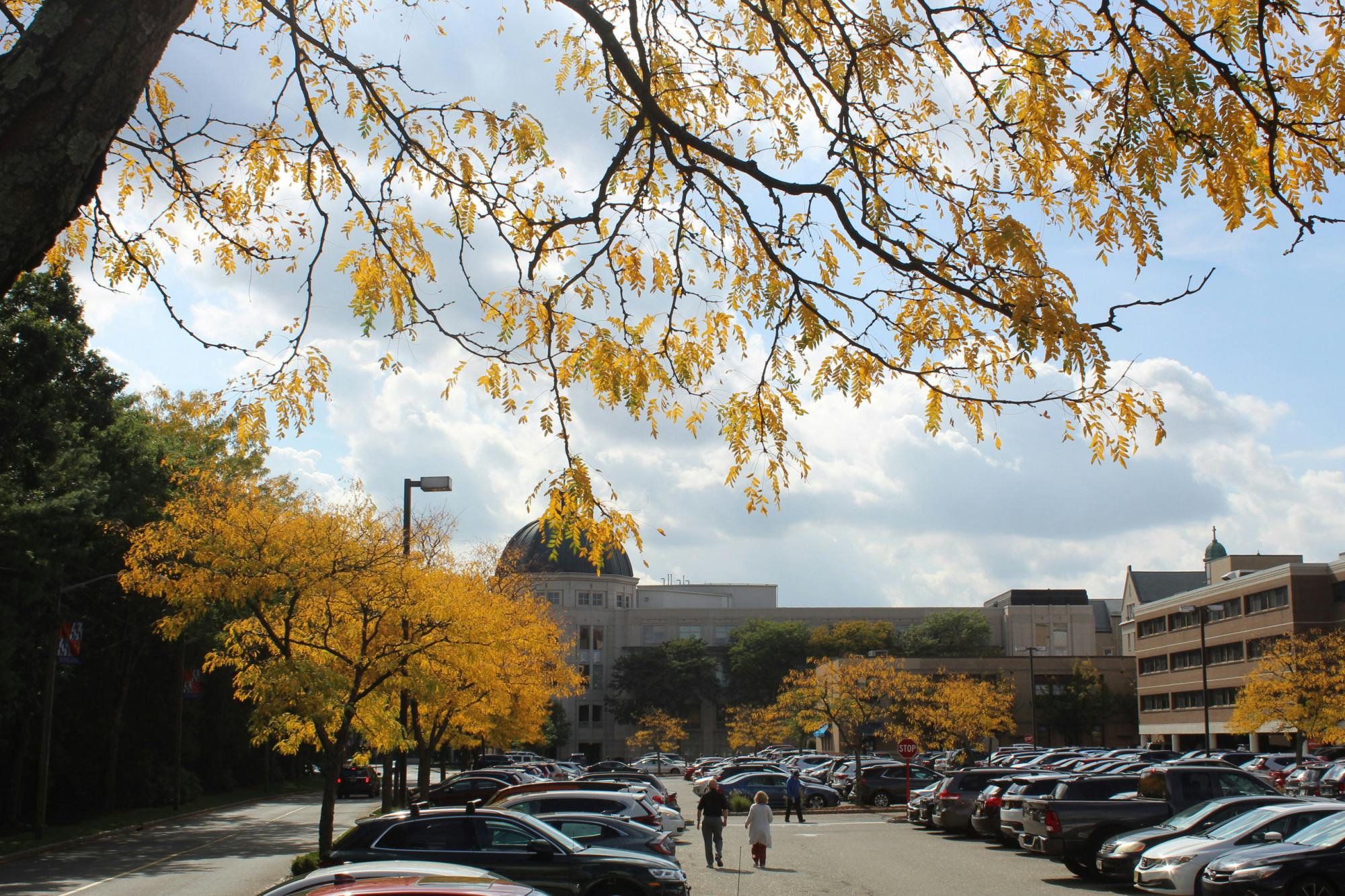 FALL ON CAMPUS- MARIA LEVANDOSKI.JPG
