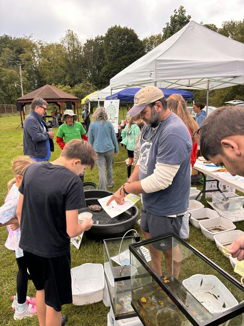 Duck Derby raises money for Middle Spring Watershed education - The ...