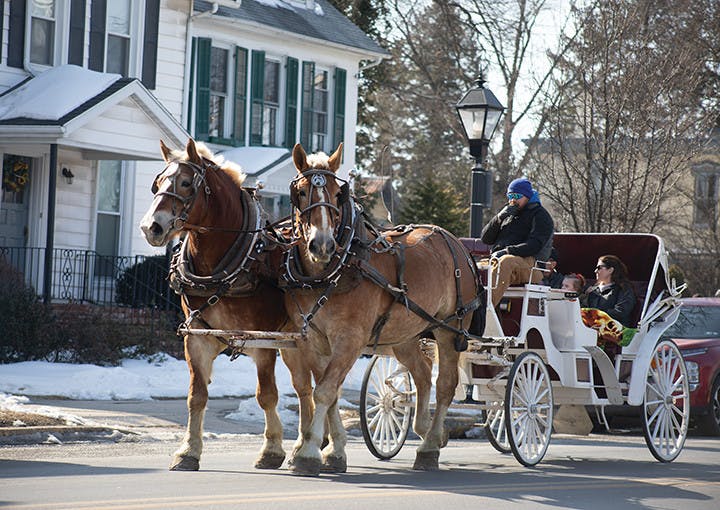 Families lined King Street enjoying sculptures while eating hand-dipped chocolate-covered strawberries and sipping on free coffee and hot choclate.