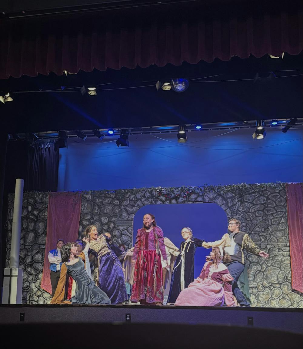 Once Upon a Mattress: A review