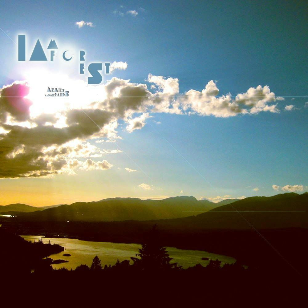 iamforest: New on the rise indie artist from Vancouver