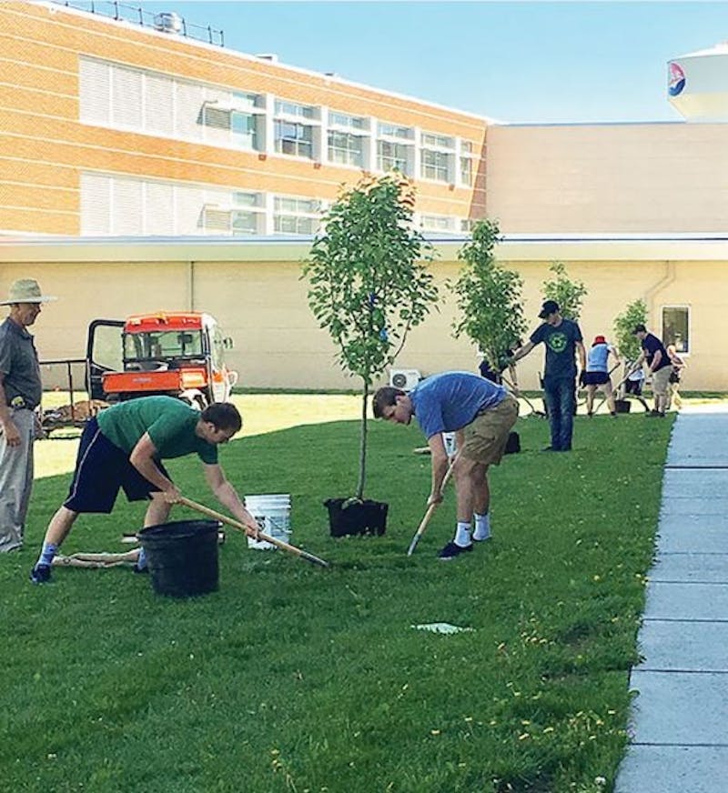 SU students dig holes to plant trees on campus for Arbor Day.