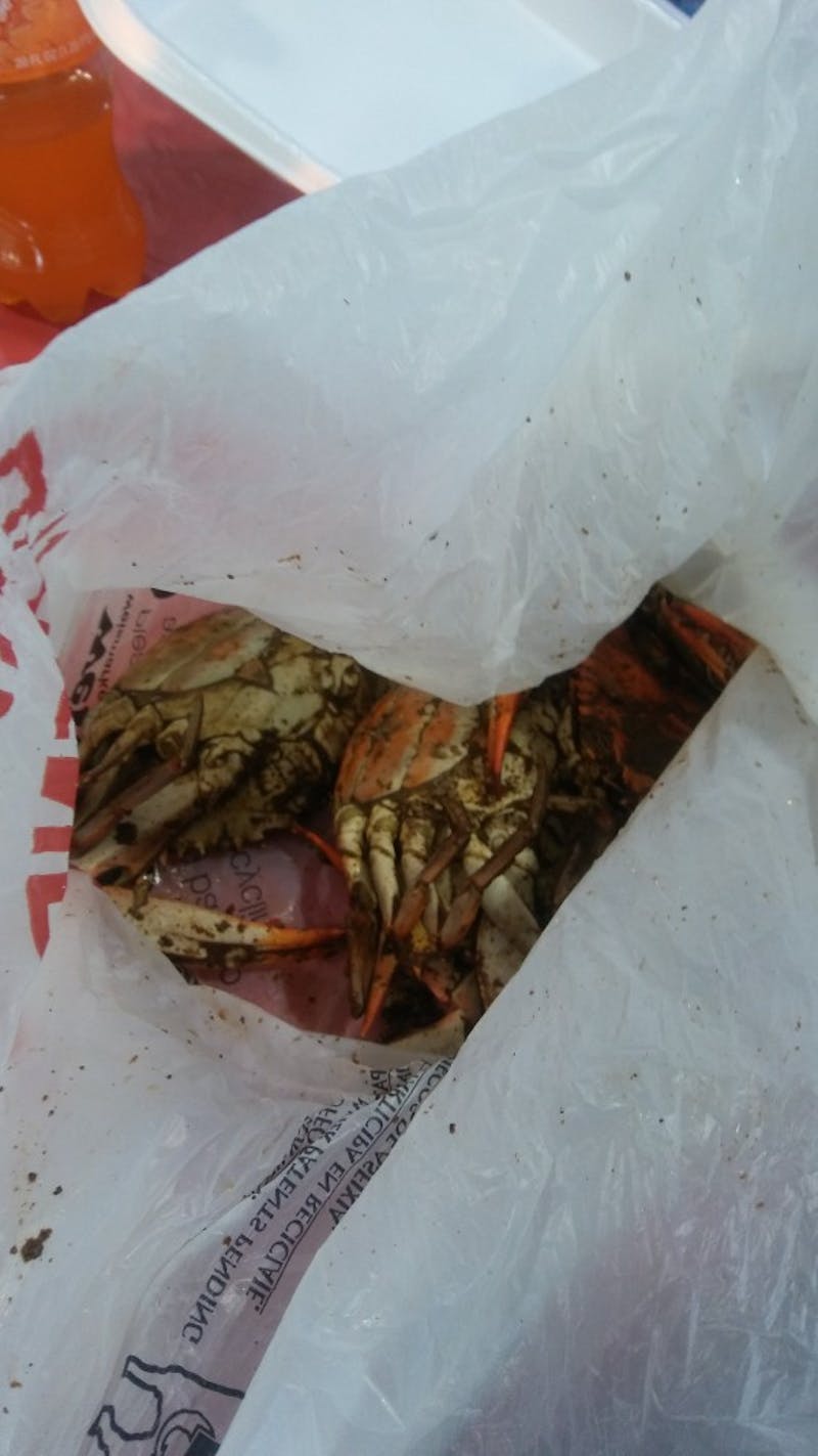 MSA staff members handed out bags filled with pre-seasoned crab to guests.