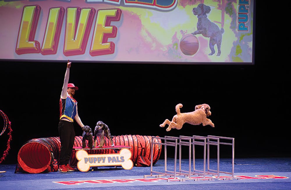 Puppy love lights up the stage at Luhrs