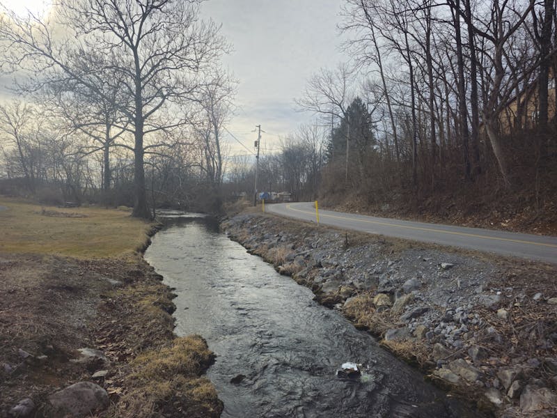 Middle Spring Creek, which flows past Shippensburg University to the west, pictured off of Fish Hatchery Road.