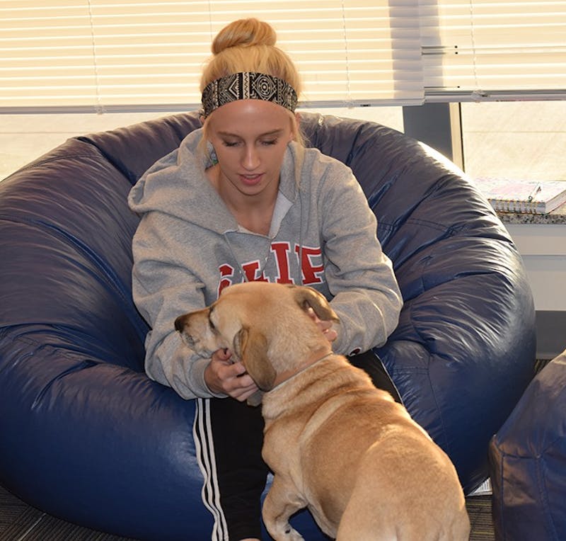 Junior Melissa Langdon relieves her stress by petting Bella.