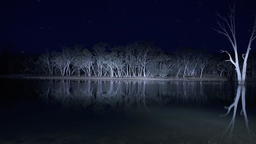 Commentary: “Lake Mungo” is the scariest film you haven’t seen