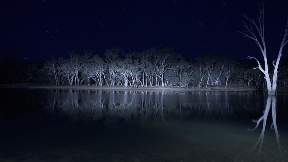 Commentary: “Lake Mungo” is the scariest film you haven't seen | The Slate