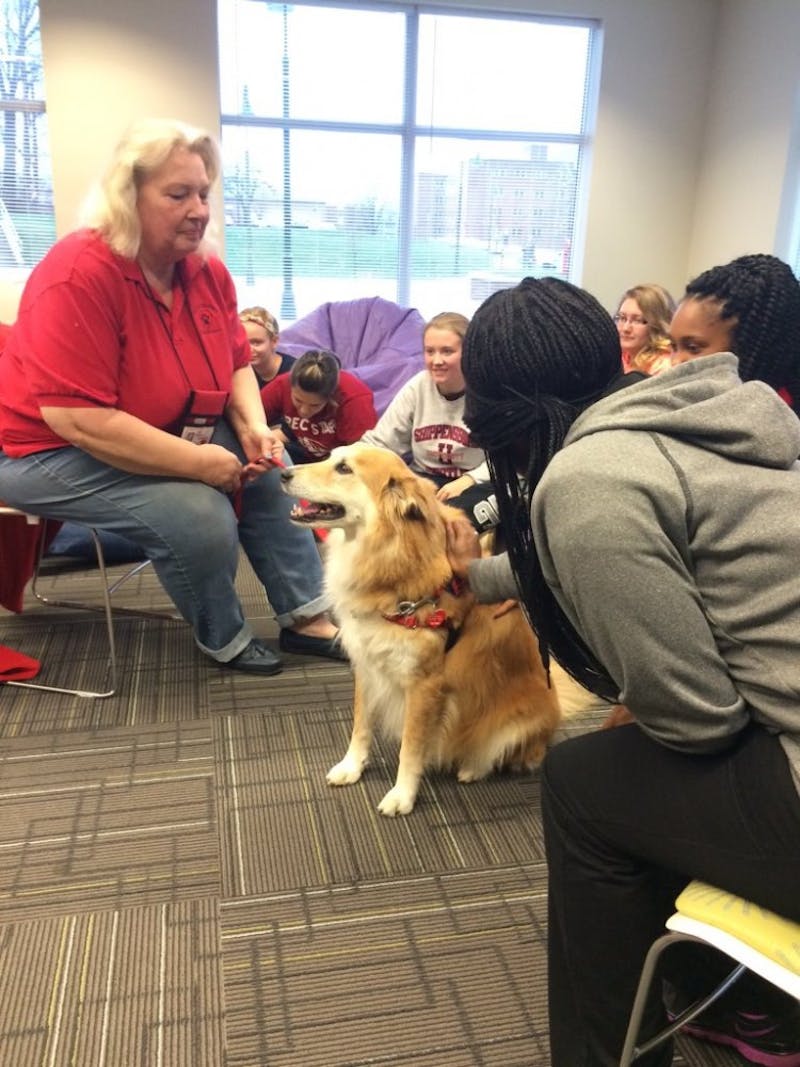 Animal Therapy is a large part of the Home@Ship Program, with a dog at nearly every event. Kindly Canines stopped for a visit in December to help students cope with finals week.&nbsp;