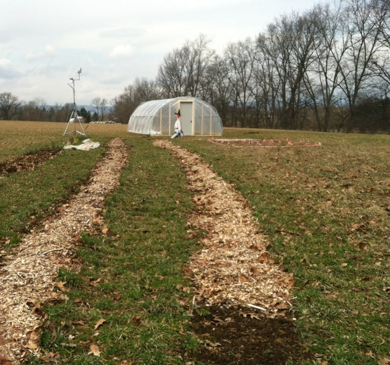 	The Farm Club planting seedlings that will yield food for some SU students in the campus dinging hall.