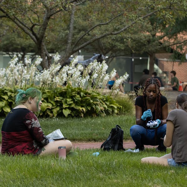Students tie dye in the grass of Tower Courtyard