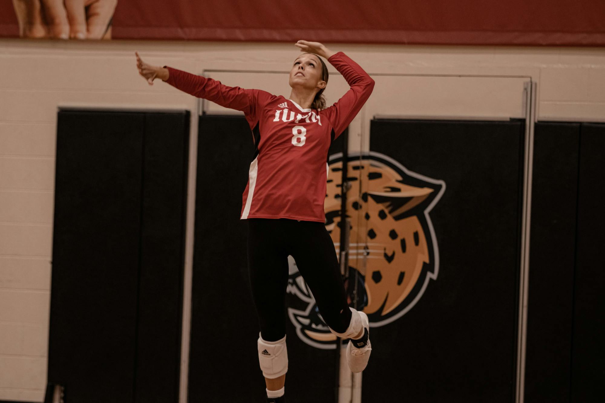 Brooke Phillips Serves