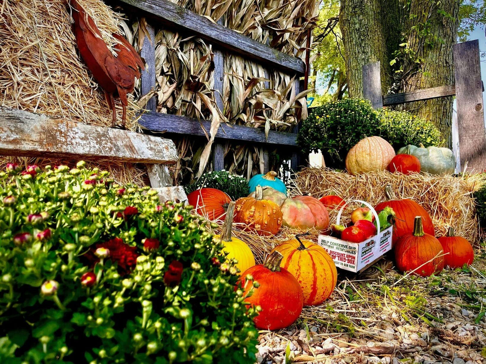 Screenshot 2024-10-08 at 3.06.46 PM.jpg