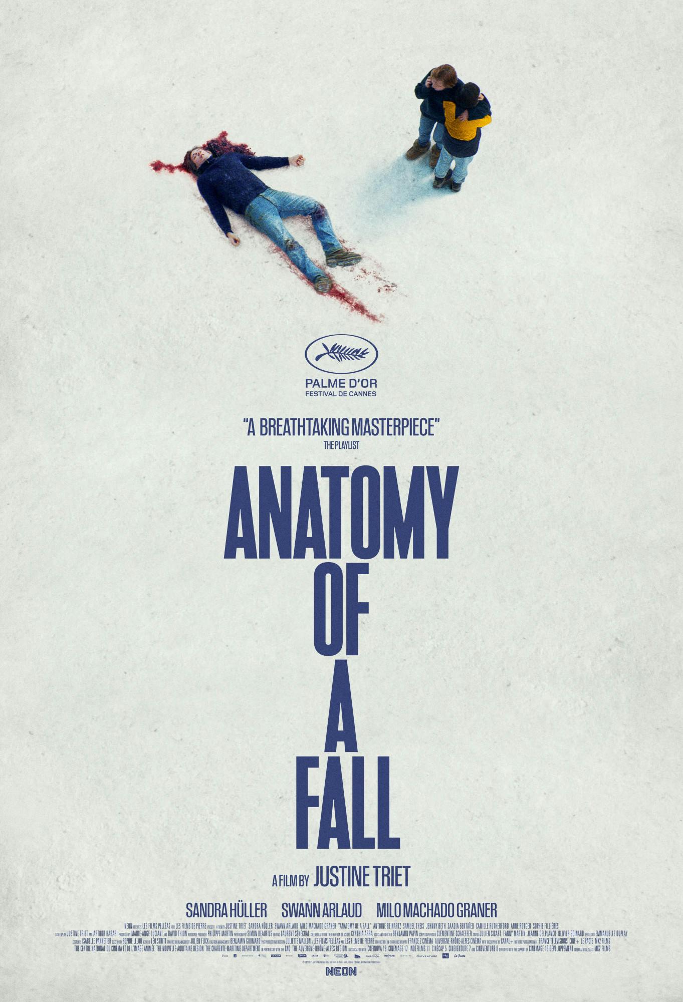 Anatomy of a Fall.jpeg