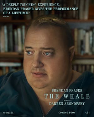whale.jpg