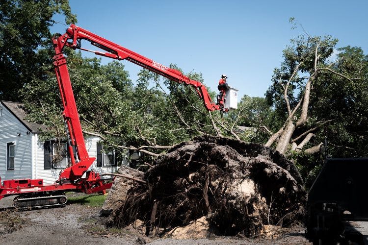 storm-michigan-tree-removal-082426-78f81d4064284381a6450e174464a5bd.jpg