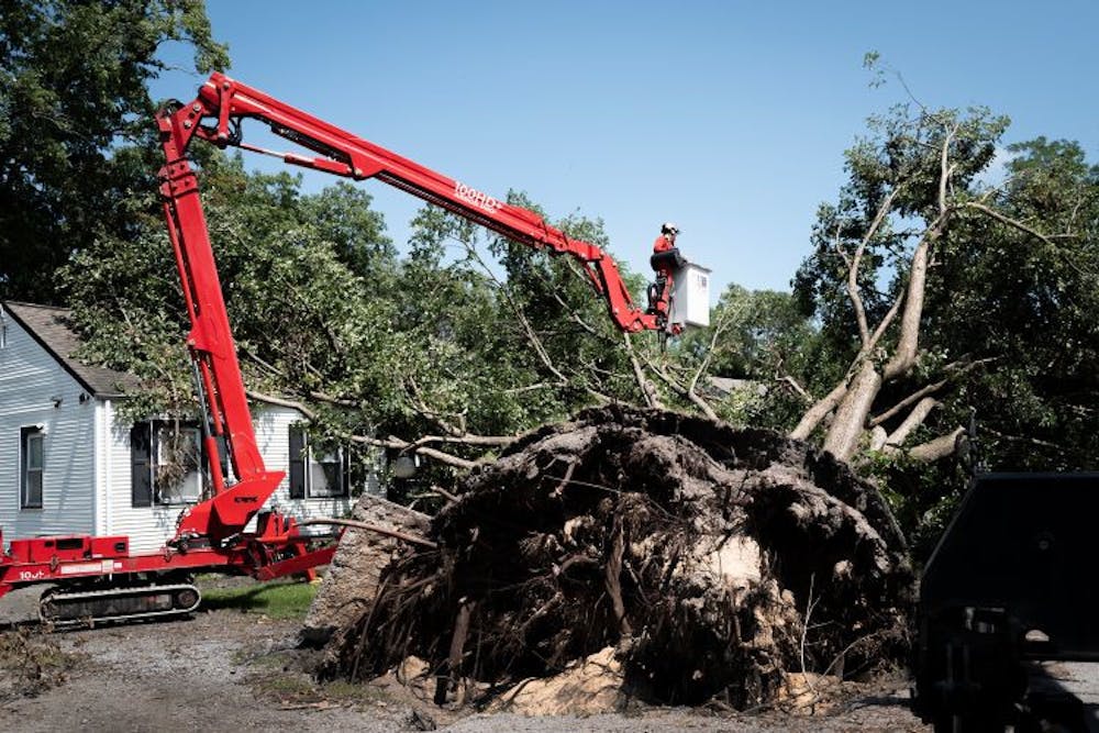 Tree being removed in front of a home in Gary, Ind., on Aug. 20.
(Photo courtesy of Scott Olson / Getty Images)