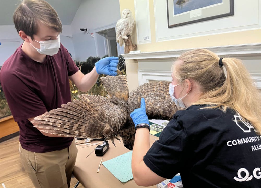 Thomas Crain and Kylie Barkley clean ornithology collections at Eagle Creek Orinthology Center. (Photo Courtesy of Rebecca McGovern)