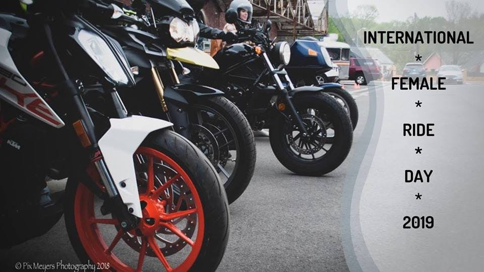 56222453_379923529522443_6761260903183679488_n