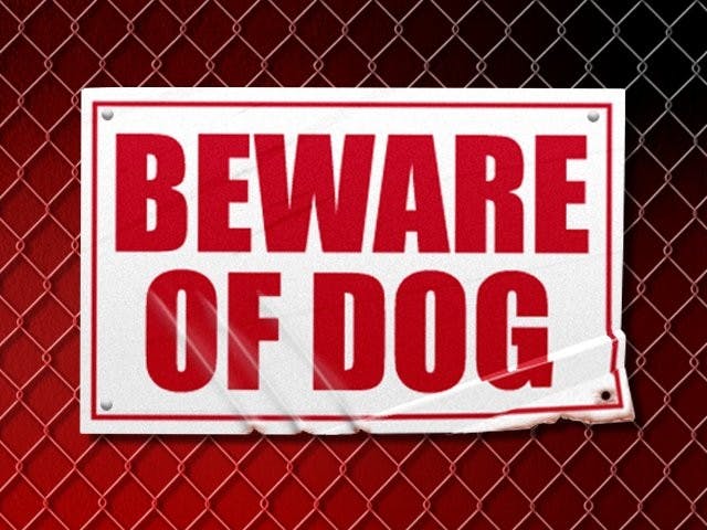 Beware of Dog graphic.