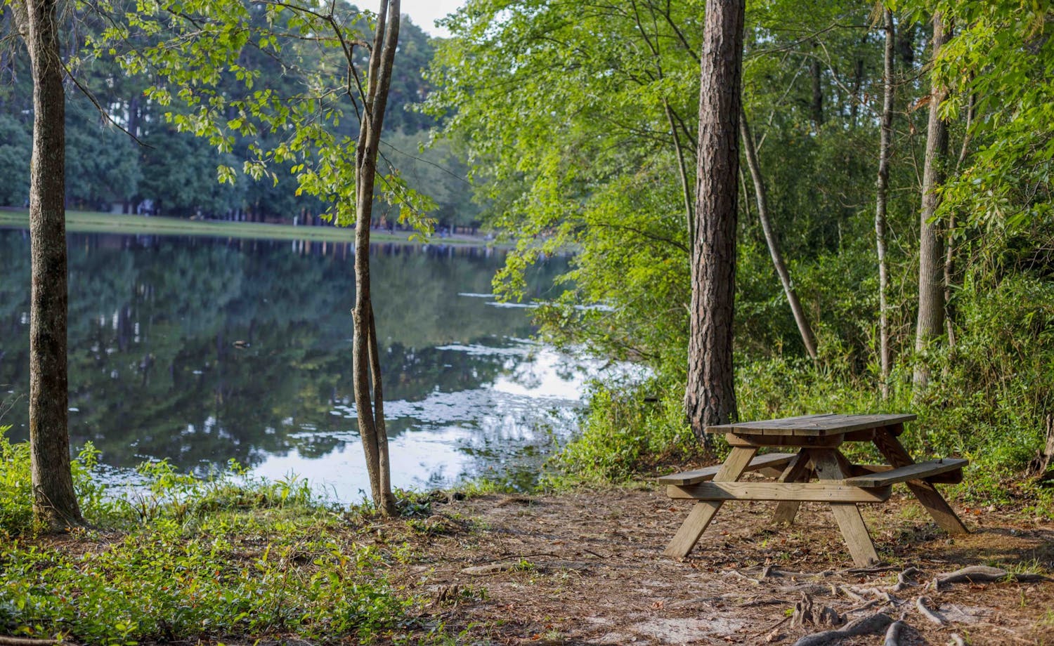 A picnic bench sits besides the water at Sesquicentennial State Park. There are many spots for people to enjoy lunch, read a book or soak up the sun.&nbsp;
