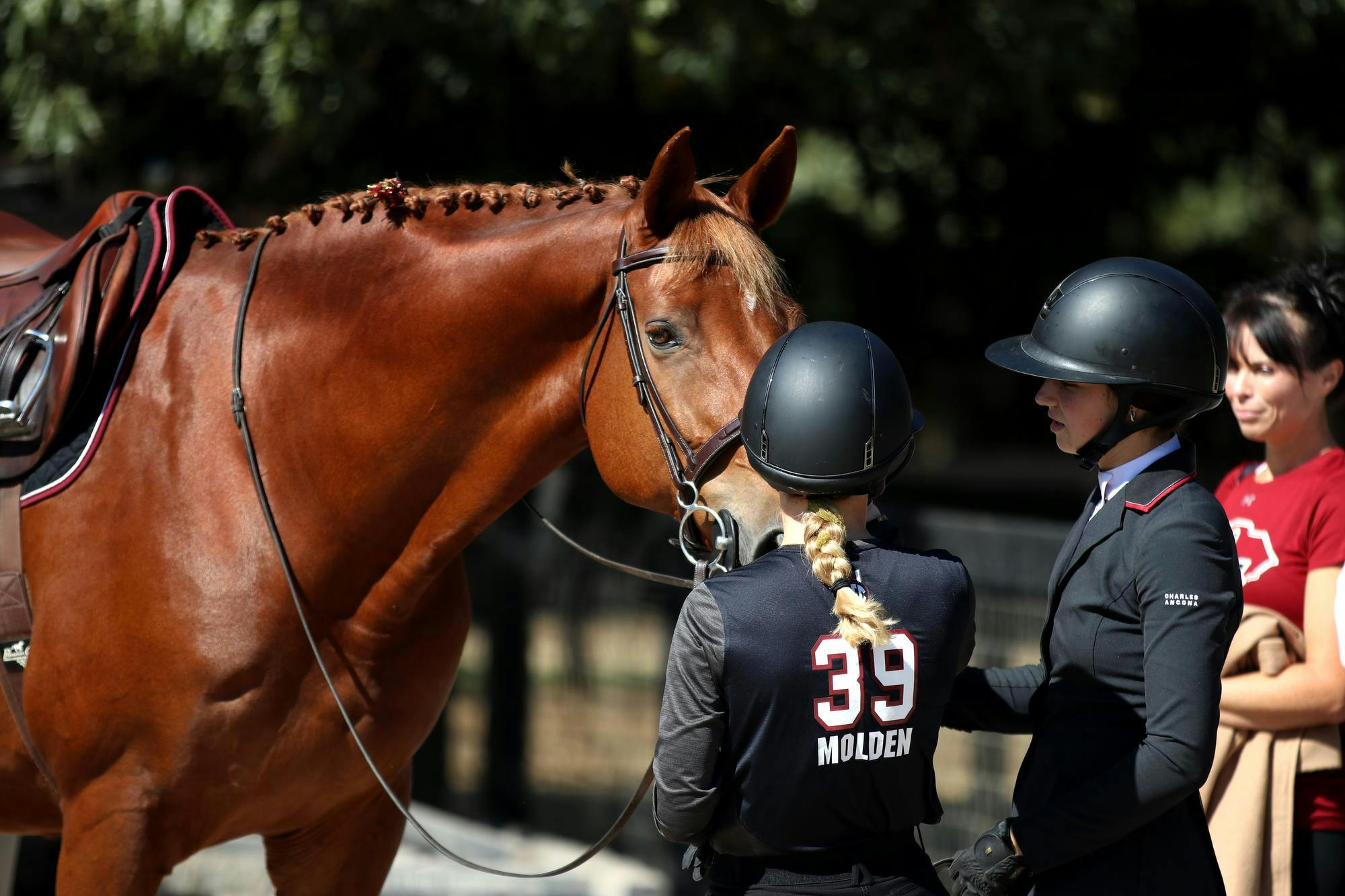 Q receives attention from his Gamecock riders as he waits for his turn in the flat division against Texas A&amp;M at One Wood Farm on Oct. 17, 2025. The Gamecocks took the win against the Aggies in the flat 4-1.