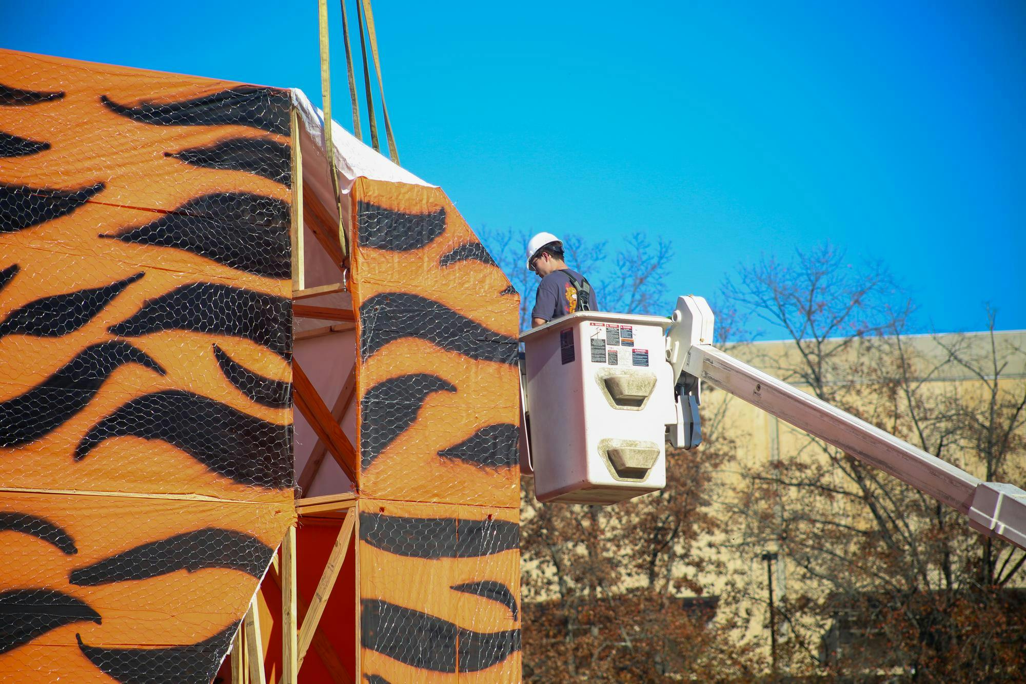 A member of USC's chapter of the American Society of Mechanical Engineers assembles the tiger structure ahead of the Tiger Burn event on Blatt Field on Nov. 19, 2025. The event was part of the university's "rivalry week" leading up to the football game against Clemson.