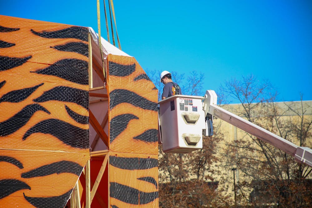 tigerburn25-jmariondickerson004ec