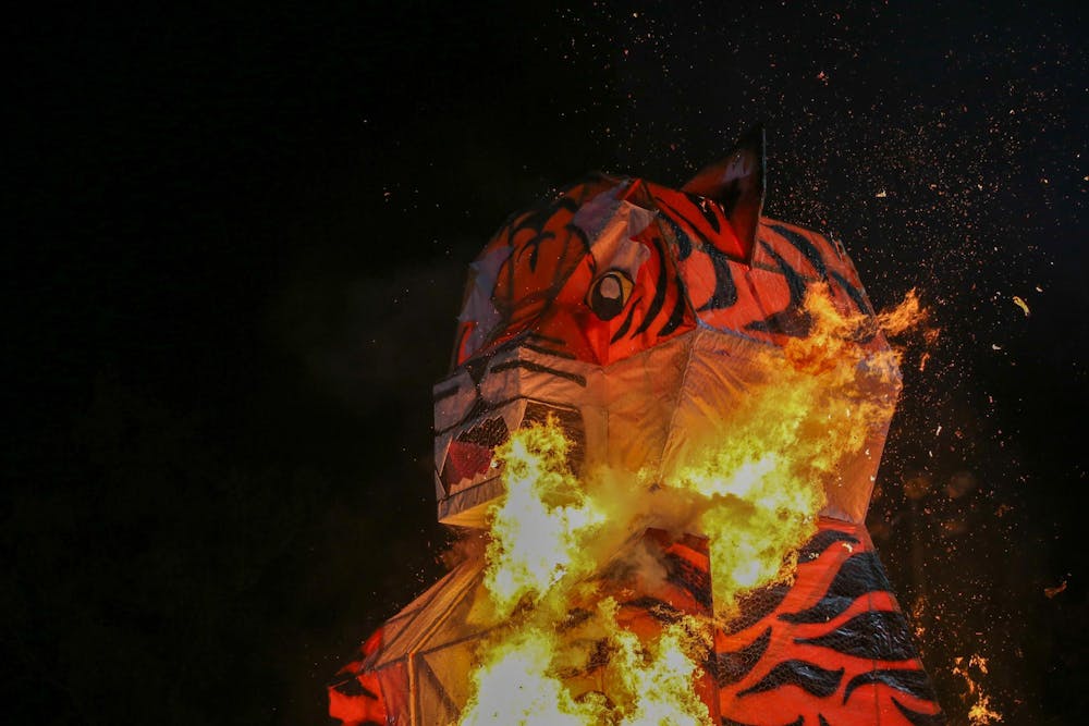 tigerburn25-jmariondickerson018ec