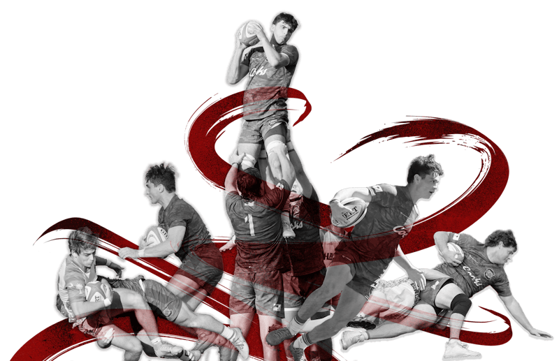 Changes to Gamecock rugby make team more student-run - The Daily Gamecock