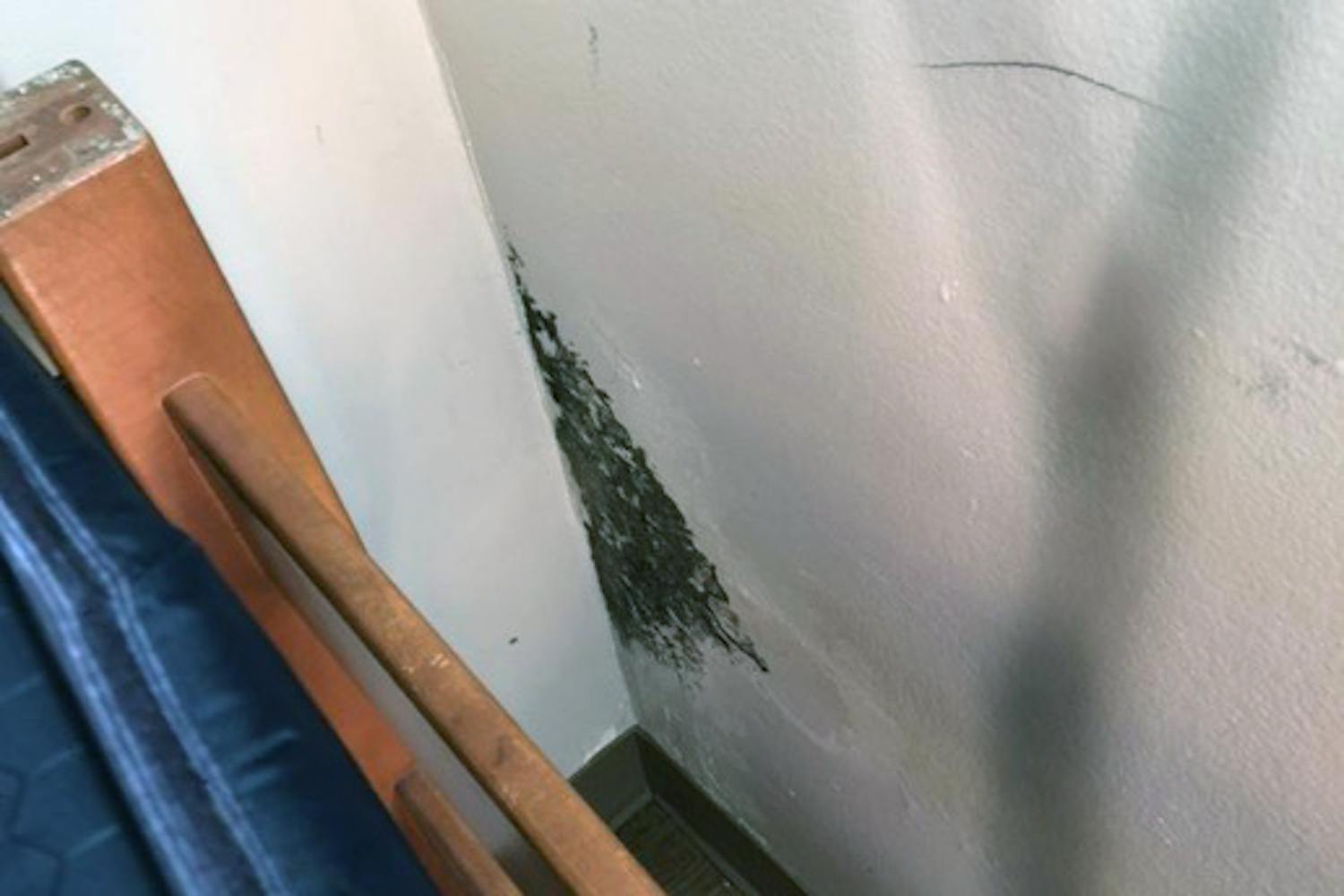 Mold growing behind a bed in Capstone House during spring 2022. Second-year criminal justice student Leah Camilli was constantly sick her freshman year and only found the square foot of mold behind her bed during move-out.