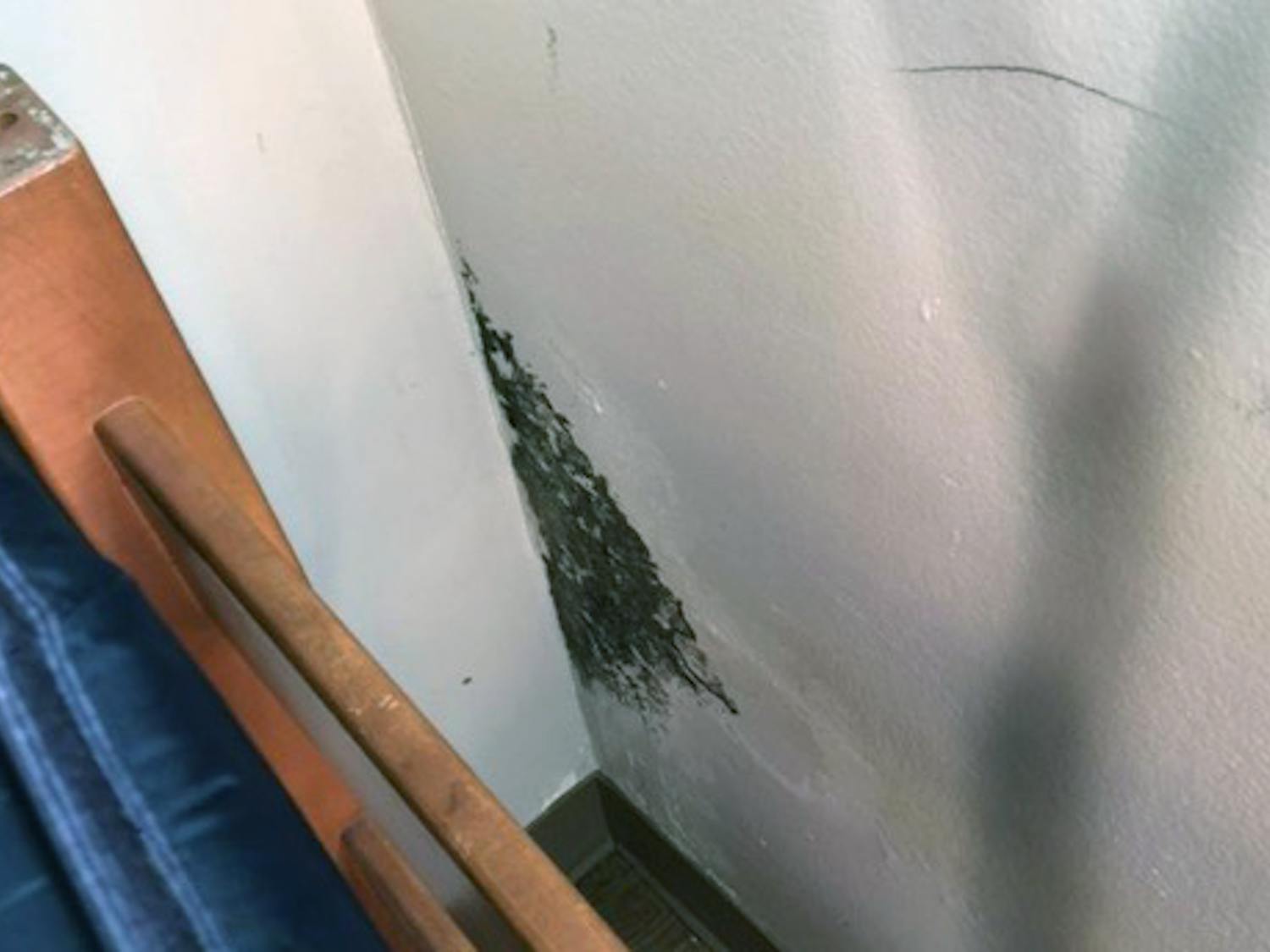Mold growing behind a bed in Capstone House during spring 2022. Second-year criminal justice student Leah Camilli was constantly sick her freshman year and only found the square foot of mold behind her bed during move-out.