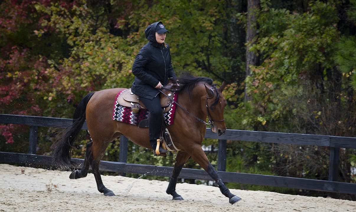 South Carolina Equestrian Rides to Victory Over UT Martin The Daily