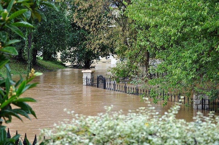 Congaree River Walk at 3 p.m.
