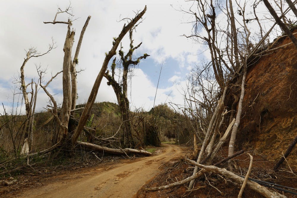 The mountain town of Juyaya, Puerto Rico, is one of the most remote on the island, and help was slow to arrive due to roads blocked by landslides and fallen trees. This is the road from Ciales to Jayuya. (Carolyn Cole/Los Angeles Times/TNS)