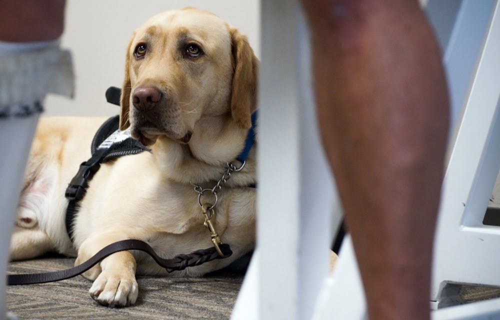 Southwest Airlines has announced new requirements for passengers who want to fly with a service animal or emotional support animal. (Shelly Yang/Kansas City Star/TNS)