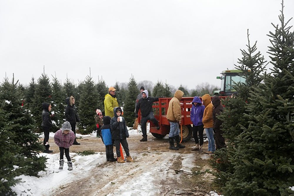 A popular family tradition is cutting down a Christmas tree for the holidays.