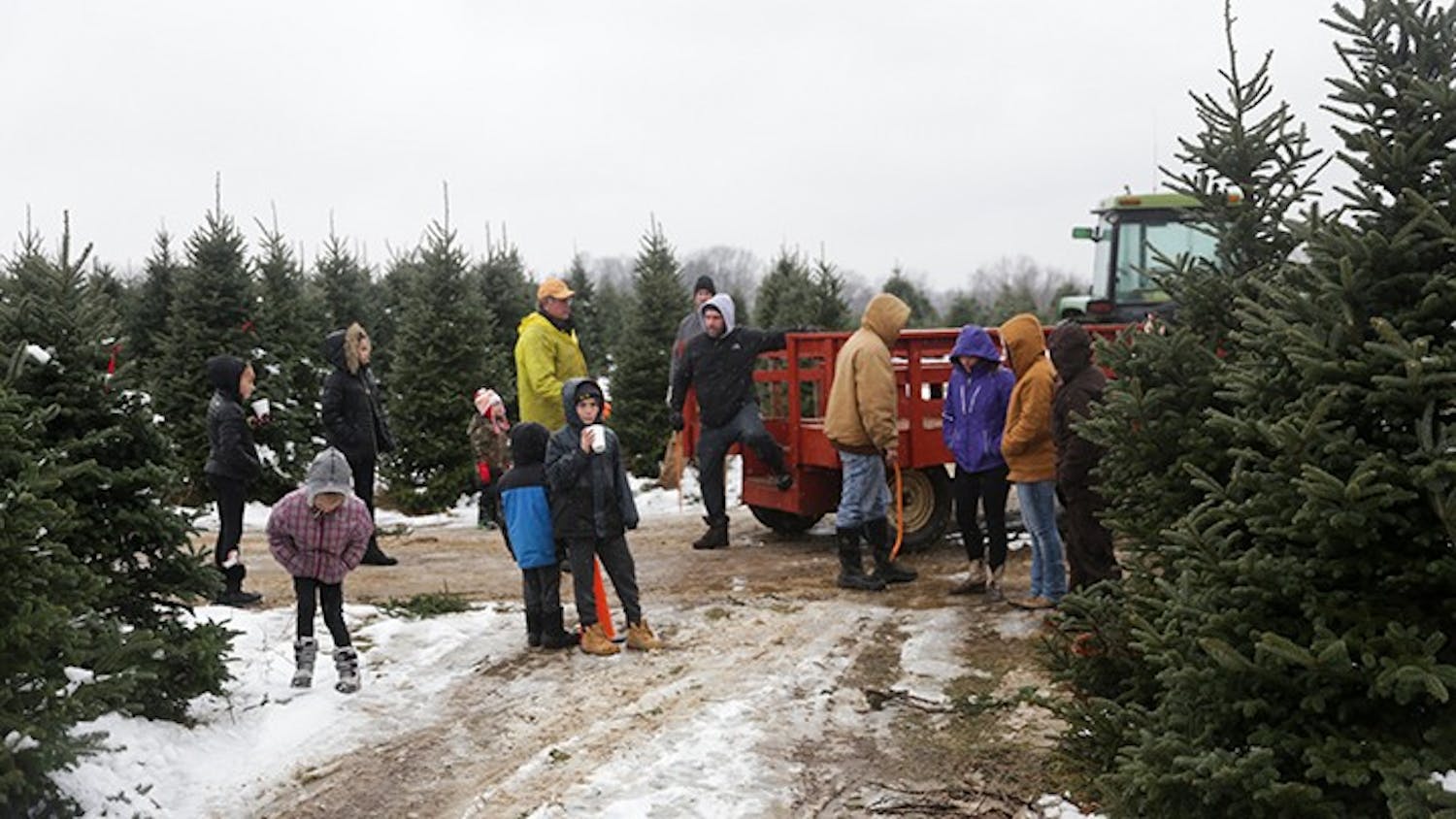 A popular family tradition is cutting down a Christmas tree for the holidays.